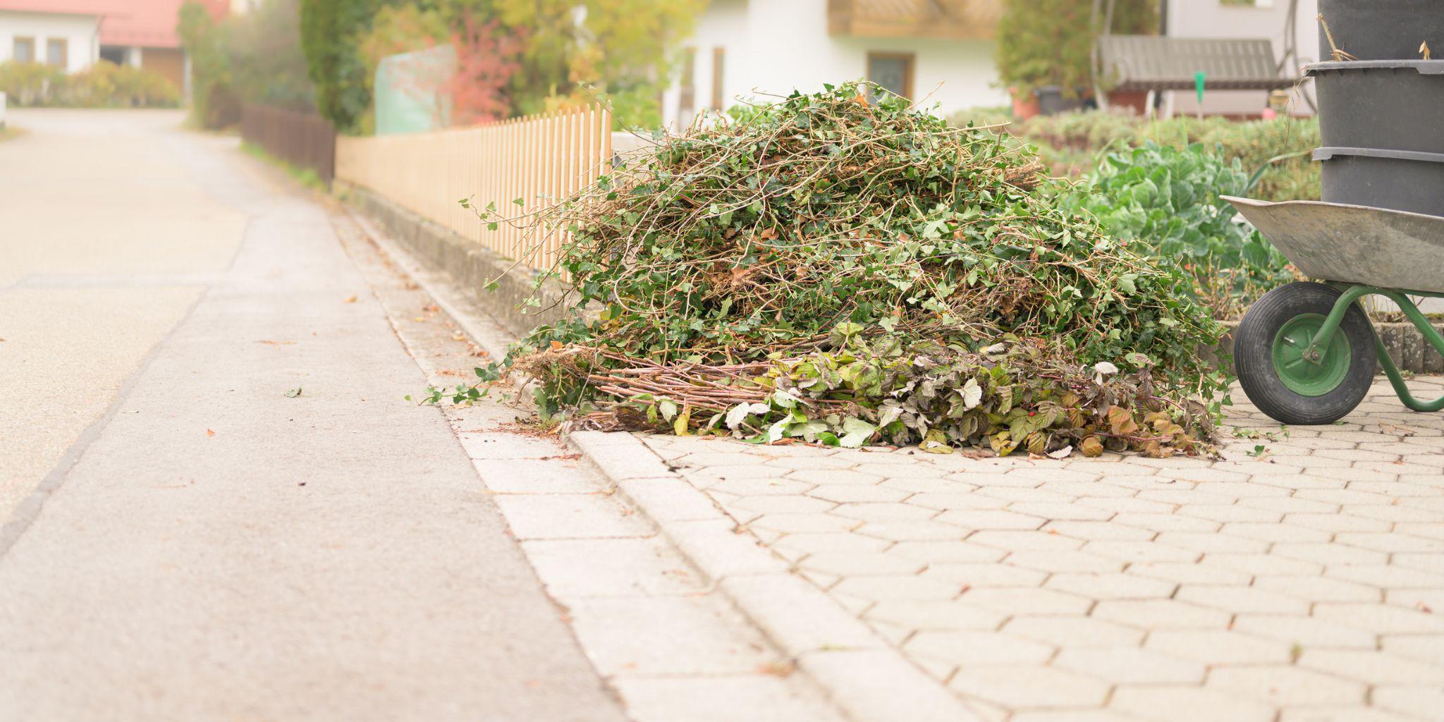 Hiring a Junk Hauler: When the Debris Pile Wins