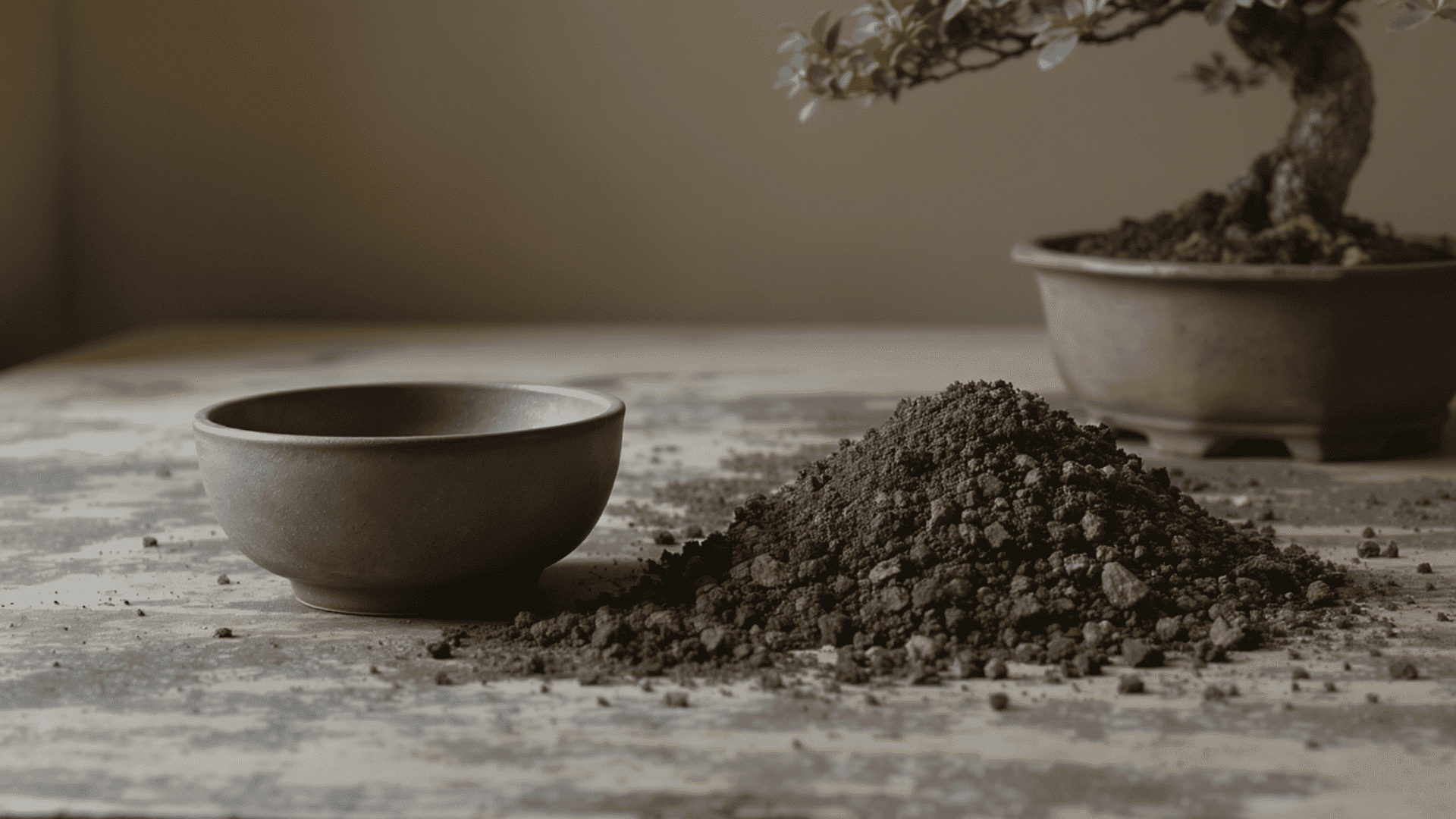 bonsai tree on a potting table with coarse soil materials fresh soil scoop and gardening tools