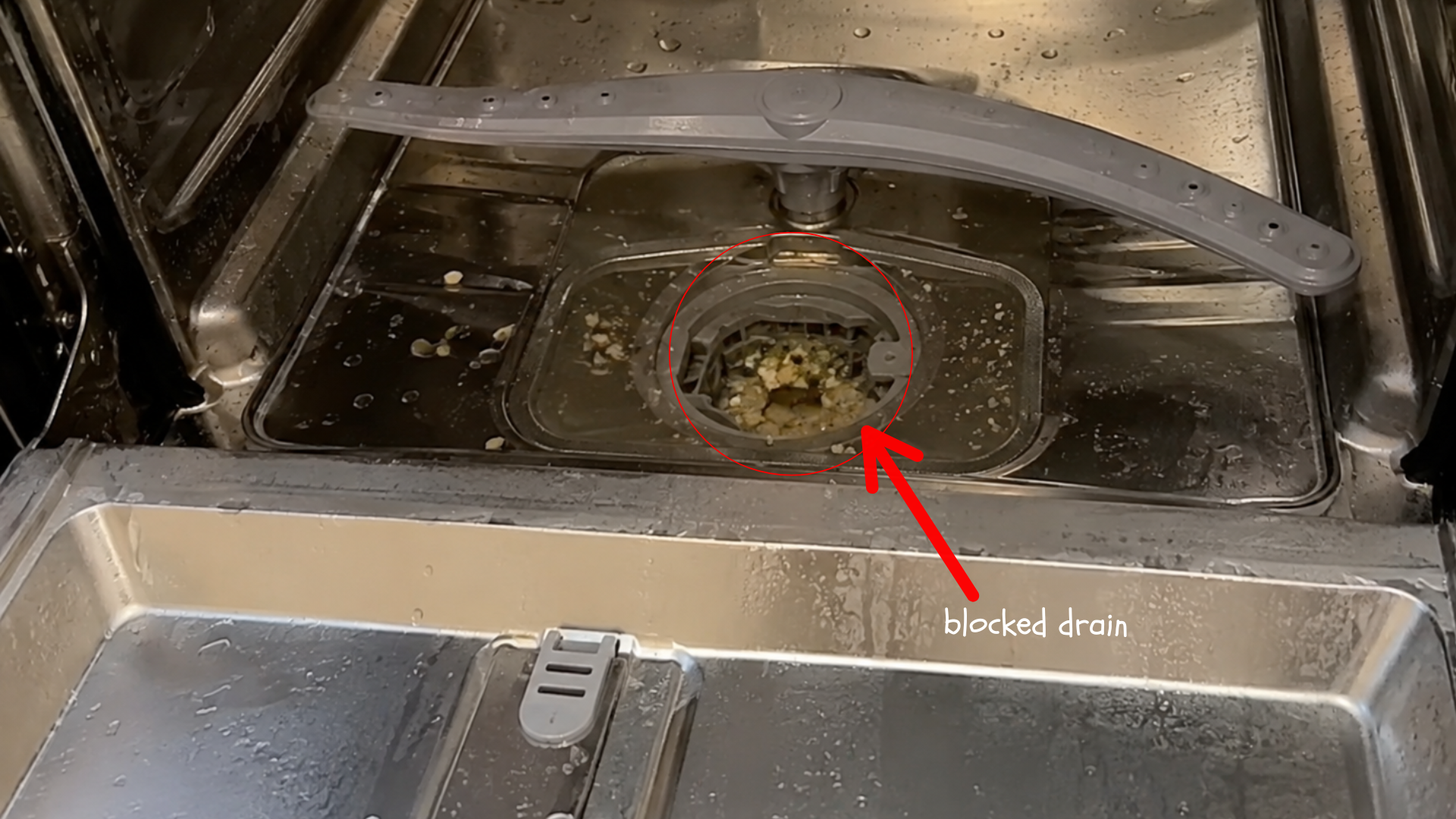food debris and murky water clogging the dishwasher drain beneath the lower spray arm