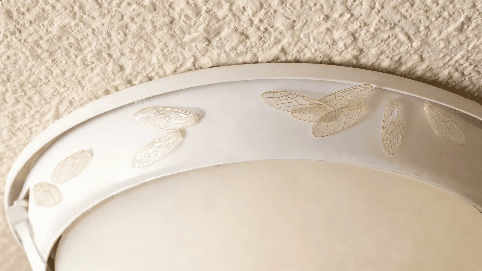 discarded termite wings gathered near a ceiling light inside a home