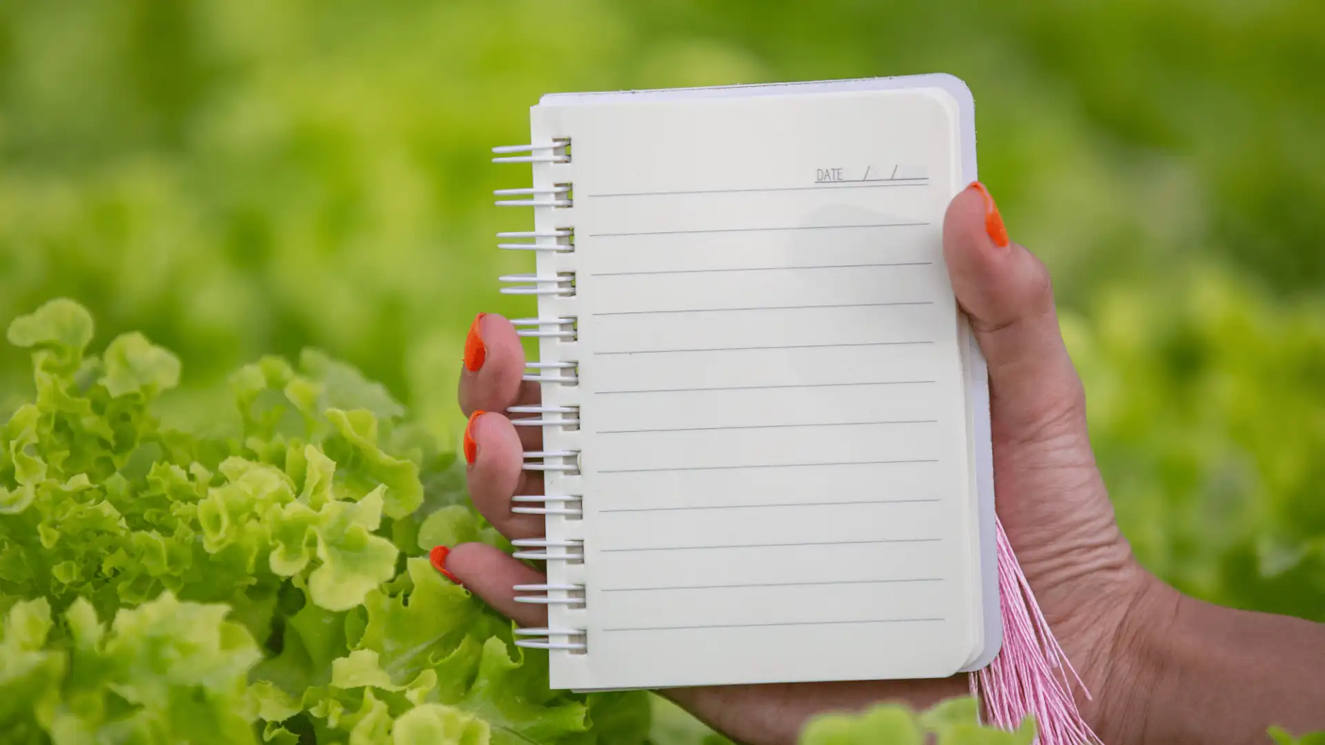 woman holding notepad over lush green cabbage leaves in a farm