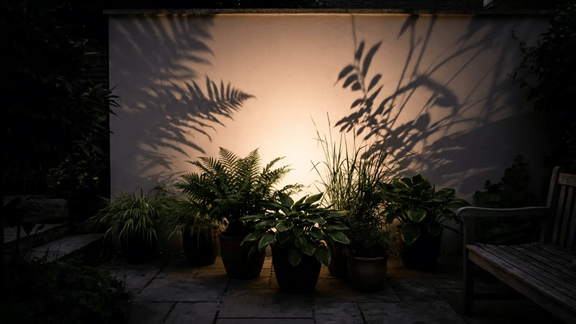 silhouette lighting creating dark plant outlines against a softly lit garden wall at night