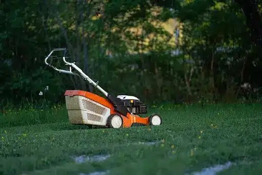 Orange and black lawnmower on grass in a lush garden setting