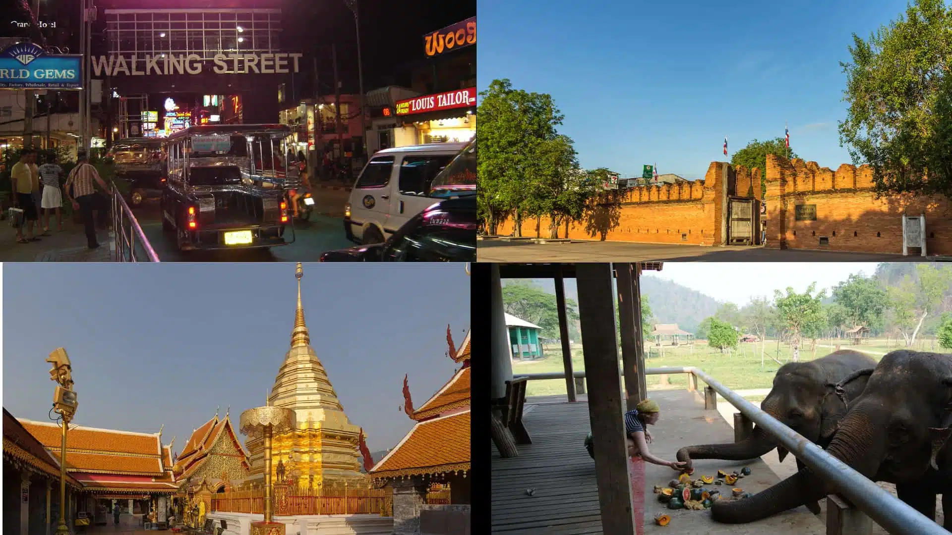 thailand travel collage showing walking street, temples, ancient walls, and elephant sanctuary views