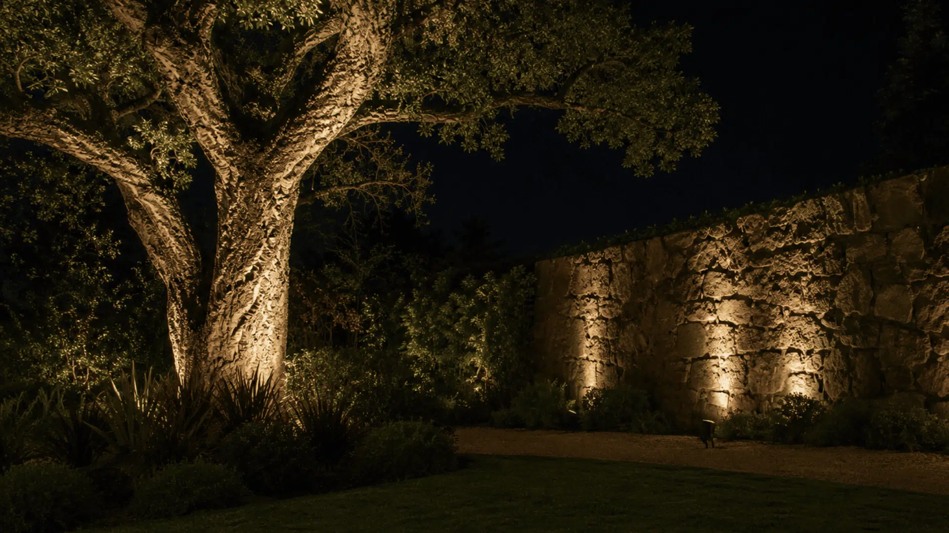 up lighting aimed at a large tree and a textured stone wall in a landscaped garden at night