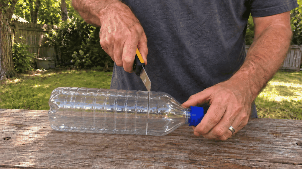 cutting a clear plastic bottle below the shoulder to begin making a homemade wasp trap
