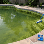 homeowner preparing to clean a residential pool with cloudy green water and visible algae on the walls and steps