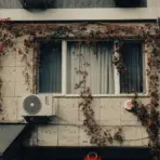 Building exterior with climbing vines and air conditioning unit under overcast sky