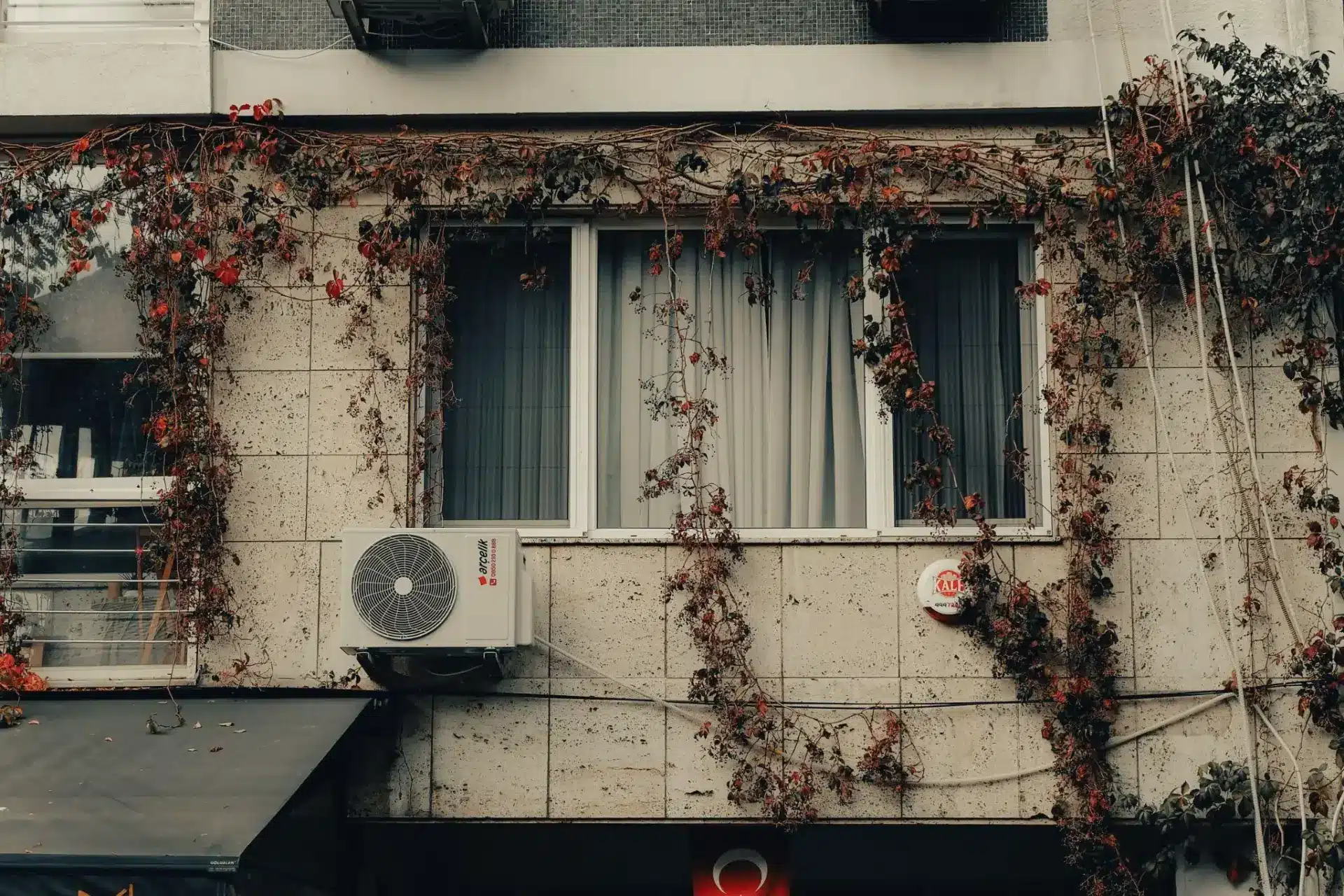 Building exterior with climbing vines and air conditioning unit under overcast sky
