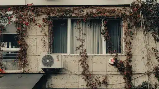 Building exterior with climbing vines and air conditioning unit under overcast sky