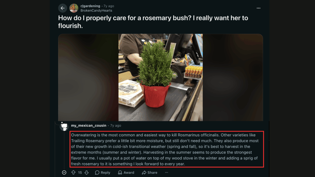 reddit gardening discussion sharing practical watering potting and care advice for a rosemary plant