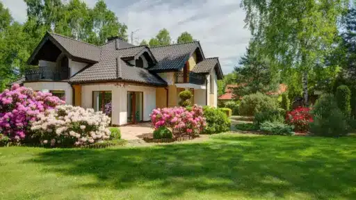 House with dark roof surrounded by blooming pink azaleas in a lush green garden
