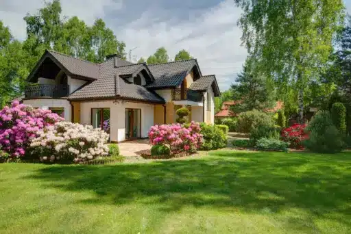 House with dark roof surrounded by blooming pink azaleas in a lush green garden