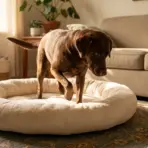Brown dog pawing at fluffy pet bed in cozy living room with potted plants